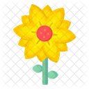 Daffodil  Icon