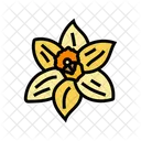 Daffodil Flower Spring Icon