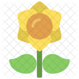 Daffodil Flower  Icon