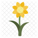 Flower Daffodil Nature Icon