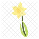 Daffodil Flower Floral Icon
