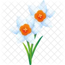 Daffodil Flower Floral Icon
