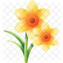 Daffodil Flower Floral Icon