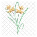 Daffodil Flower Floral Icon