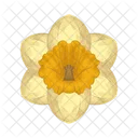 Daffodil  Icon