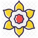 Daffodil  Icon