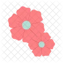 Dahelia Fleur Floral Icône