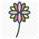 Dahlia Flower Floral Icon