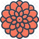 Dahlia Chrysanthemum Decoration Icon