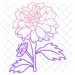 Dahlia  Icon