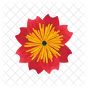 Dahlia  Symbol