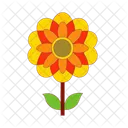 Dahlia Flower Nature Spring Flower Icon
