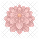 Dahlia Icon