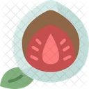 Daifuku Mochi Strawberry Icon