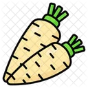 Daikon Parsnip Vegetable Icon