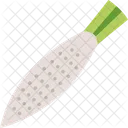 Daikon Vegetable Food Icon