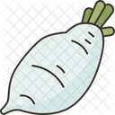 Daikon Radish Vegetable Icon