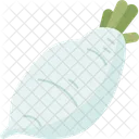 Daikon Radish Vegetable Icon