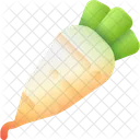 Daikon Vegetable Food Icon