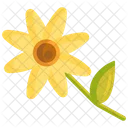 Daisies Flower Blossom Icon