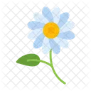 Daisies Floral Flower Icon