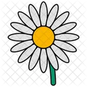 Flower Daisy Floral Icon