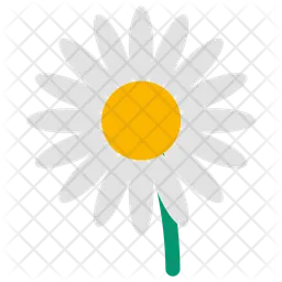 Daisies flower  Icon