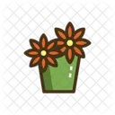Daisies Daisies Plant Flower Plant Icon