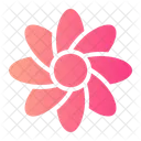 Daisy Botanical Blossom Icon