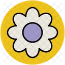 Daisy Flower Spring Icon