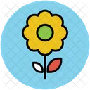 Daisy Flower Single Icon
