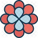 Daisy Floral Flower Petals Icon