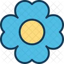 Daisy Floral Flower Petals Icon