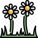 Daisy Easter Day Icon