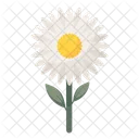 Flower Floral Daisy Icon