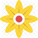 Daisy Flower Generic Icon