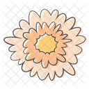 Daisy Flower Plant Icon