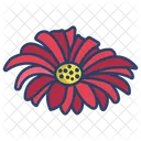 Daisy Flower Flowers Icon