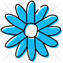 Daisy Daisy Flower Flower Icon