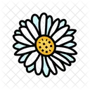 Daisy Blossom Spring Icon