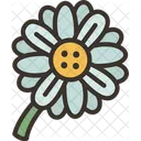 Daisy Flower Garden Icon