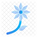 Daisy Flower Nature Icon
