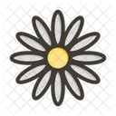 Flower Nature Blossom Icon