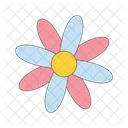 Daisy chamomile flower spring  Icon
