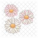 Daisy flower  Icon