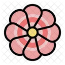 Daisy Flower Blossom Plant Icon
