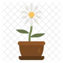 Daisy Flower Botanical Icon