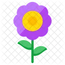 Ecology Daisy Flower Floweret Icon
