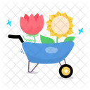 Daisy Flower  Icon