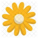 Foliage And Floral Daisy Flower Icon